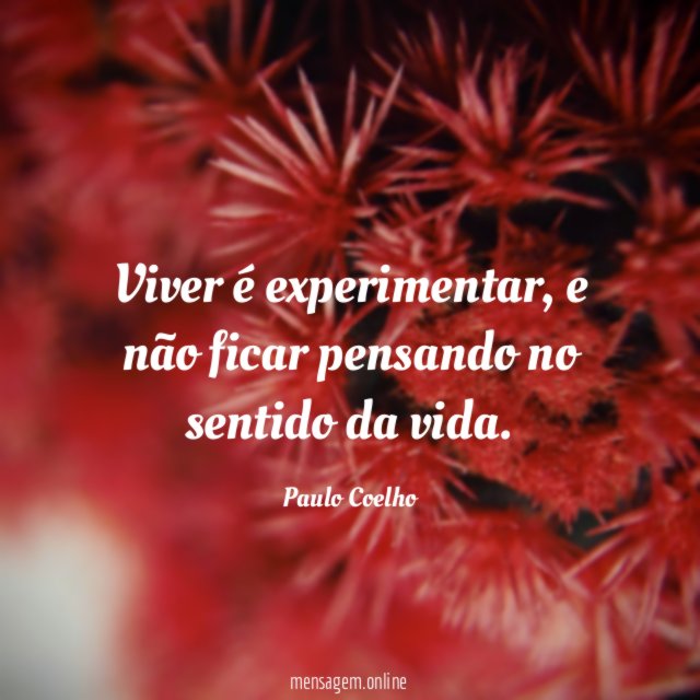 Viver é experimentar