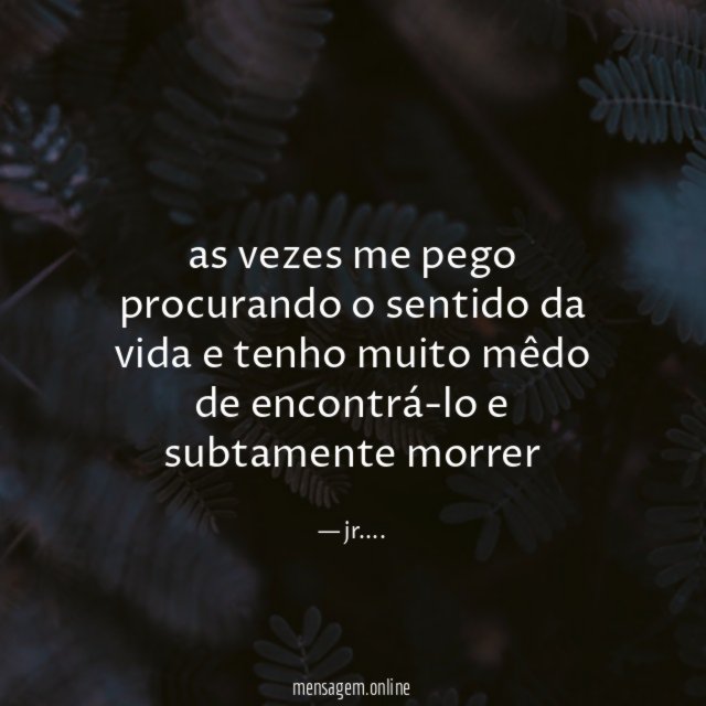 as vezes me pego procurando o sentido