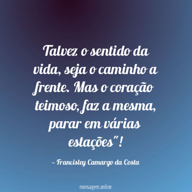 Talvez o sentido da vida
