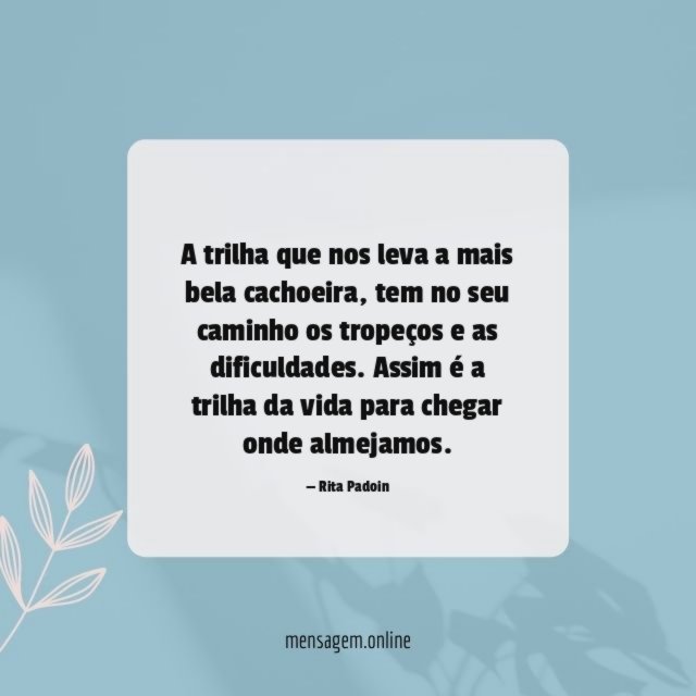 A trilha que nos leva a mais bela cachoeira