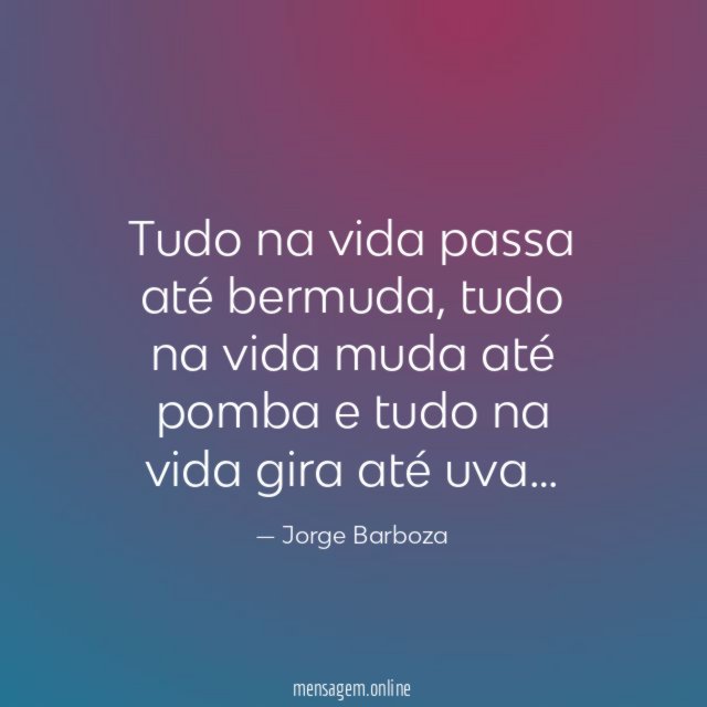 Tudo na vida passa até bermuda