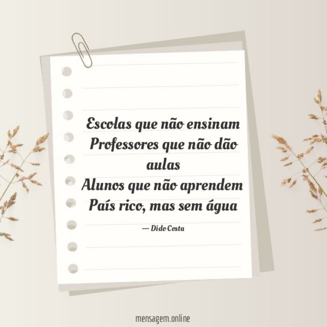 Escolas que não ensinam Professores que não dão aulas Alunos