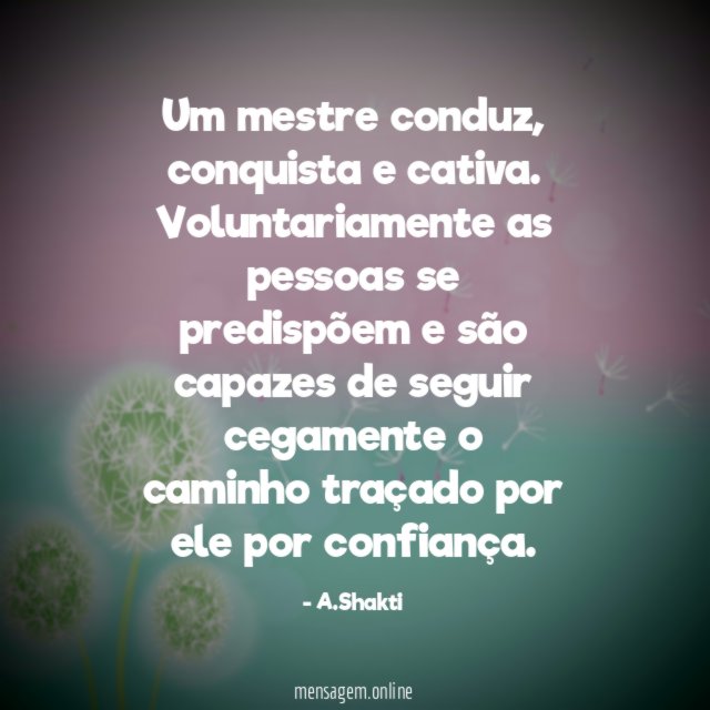 Um mestre conduz