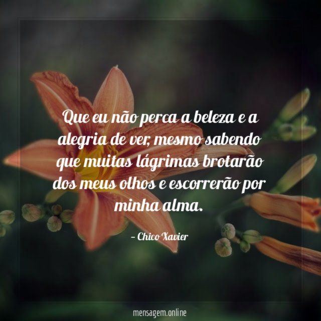 Que eu não perca a beleza e a alegria de ver