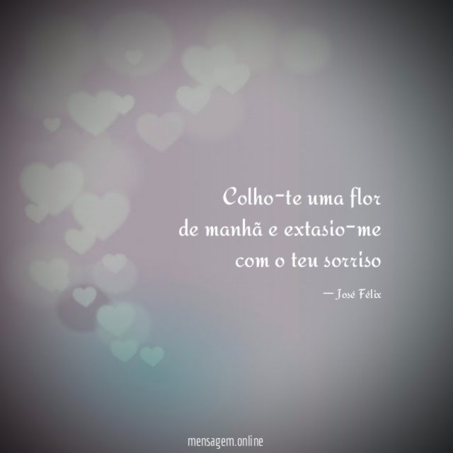 Colho-te uma flor de manhã e extasio-me com o teu sorriso