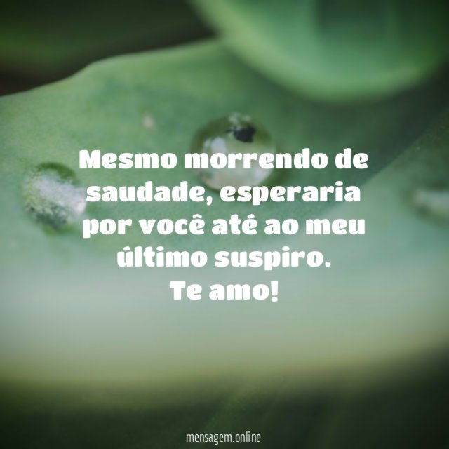 Te amo até ao meu último suspiro