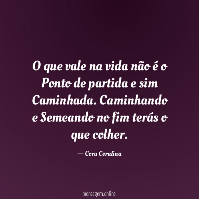 O que vale na vida não é