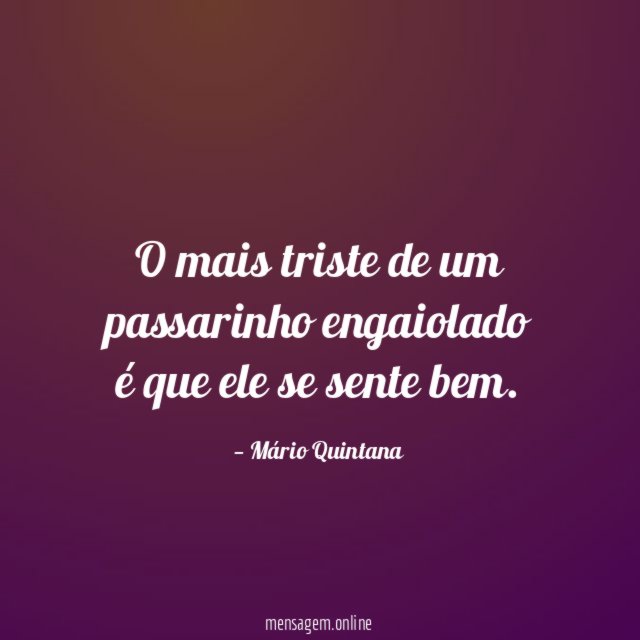 O mais triste de um passarinho engaiolado é que ele se sente bem