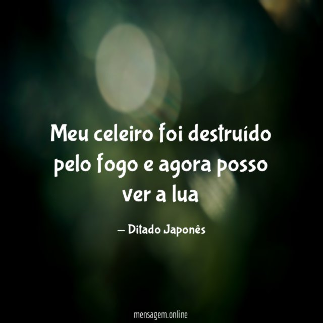 Meu celeiro foi destruído pelo fogo e agora