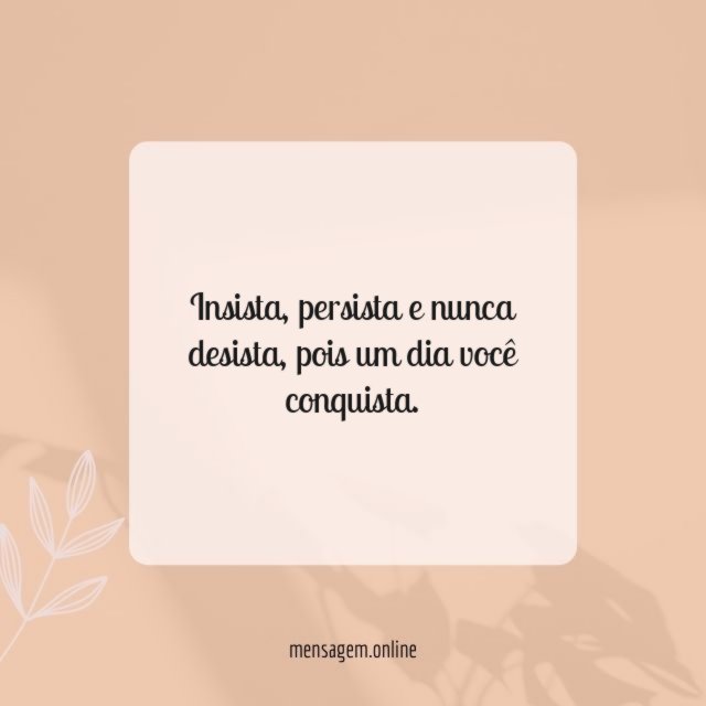 Insista
