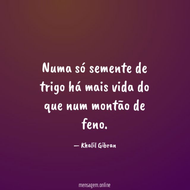 Numa só semente de trigo há mais vida