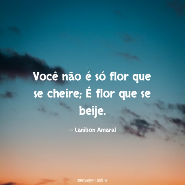Você não é só flor que se cheire