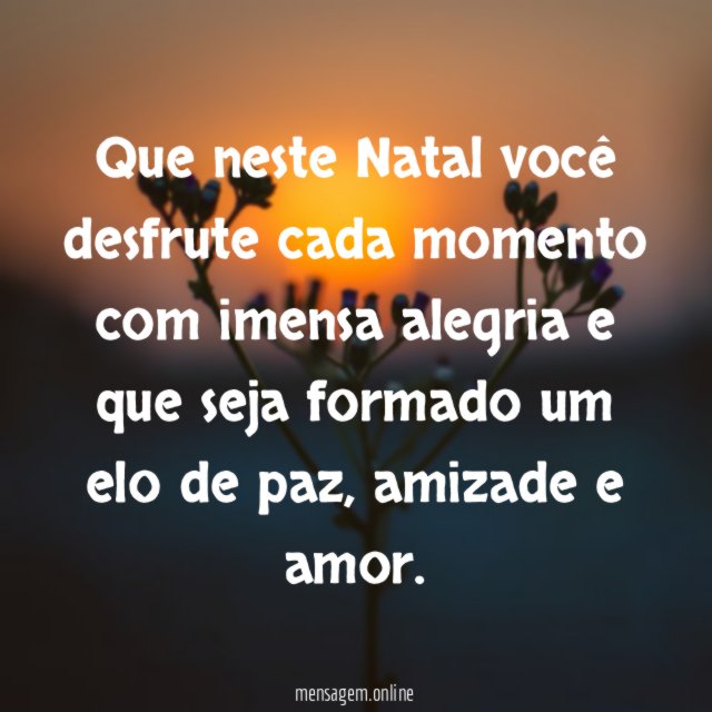 Que neste Natal você desfrute cada momento com