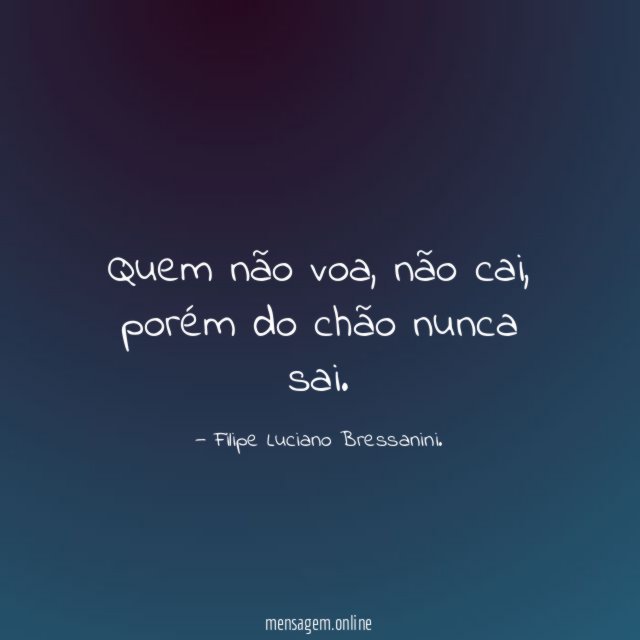 Quem não voa