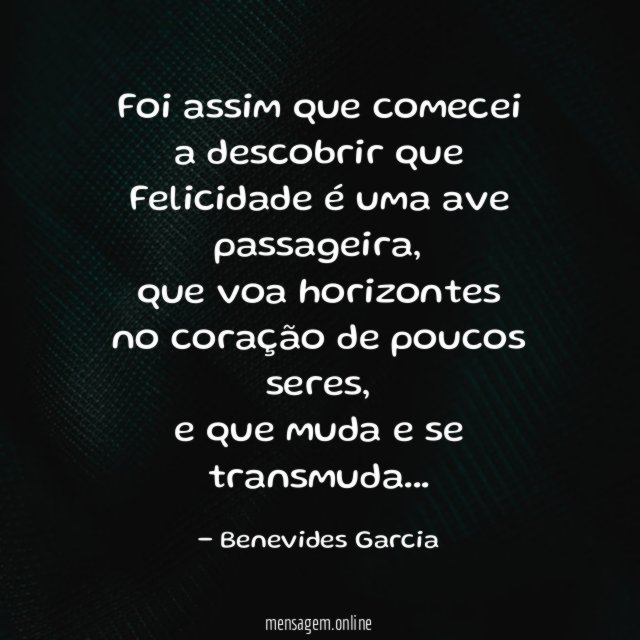 Foi assim que comecei a descobrir que Felicidade é uma ave passageira