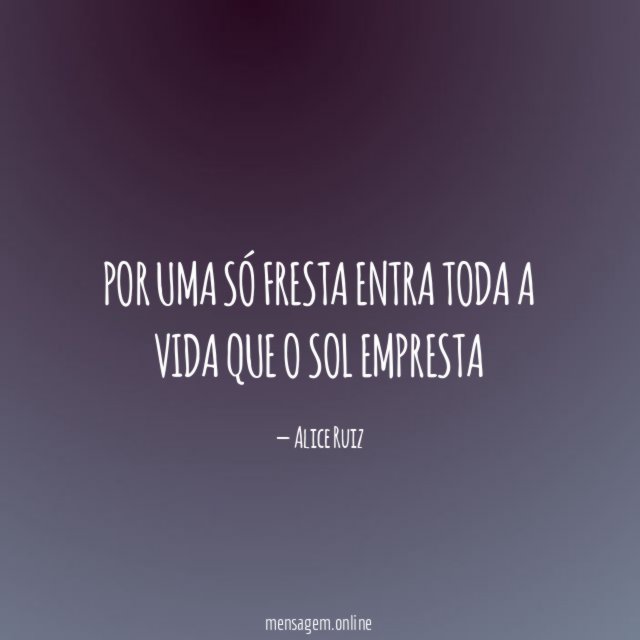 Por uma só fresta entra toda a vida que o sol empresta