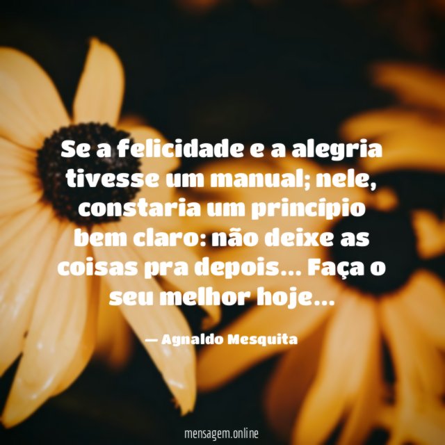 Se a felicidade e a alegria tivesse um manual