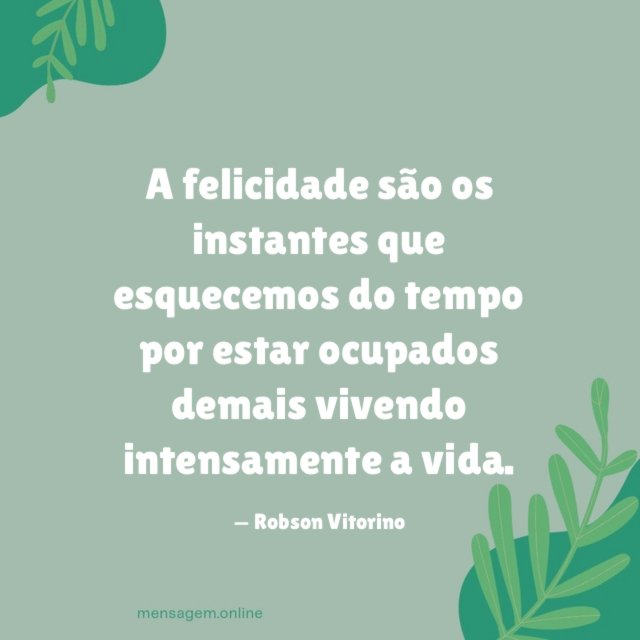 A felicidade são os instantes que esquecemos do