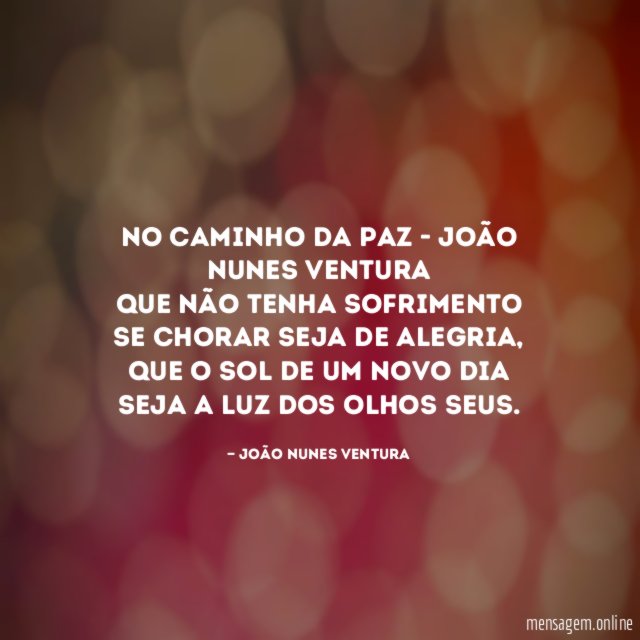 NO CAMINHO DA PAZ - João Nunes Ventura
