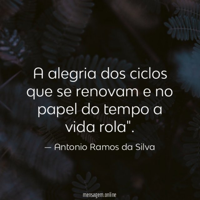 A alegria dos ciclos que se renovam