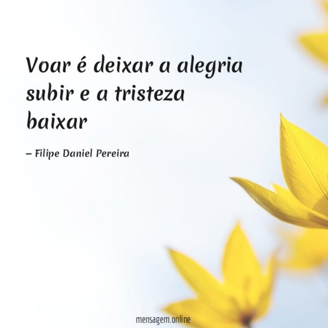 Voar é deixar a alegria subir e a tristeza baixar