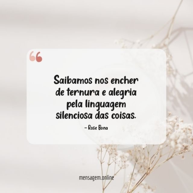 Saibamos nos encher de ternura e alegria pela linguagem silenciosa das coisas