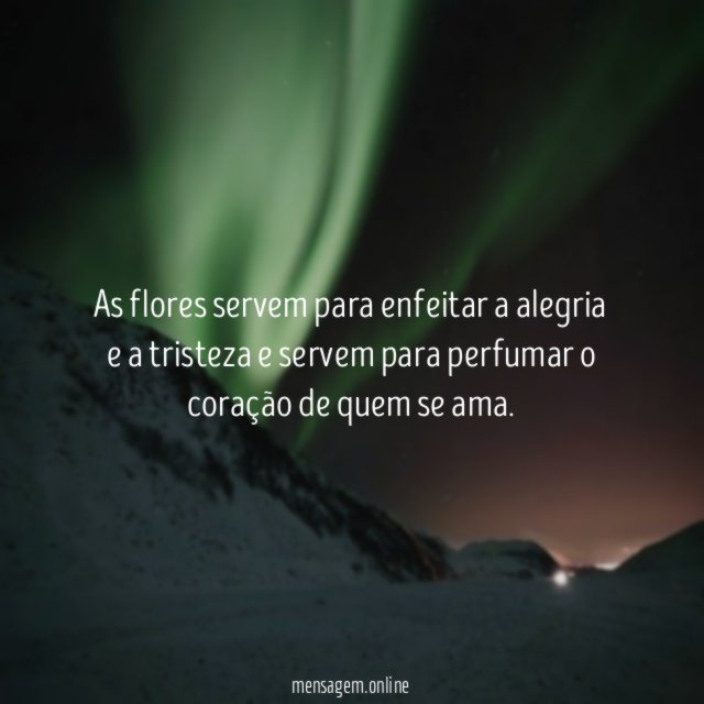 As flores servem para enfeitar a alegria