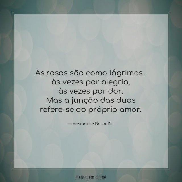 As rosas são como lágrimas