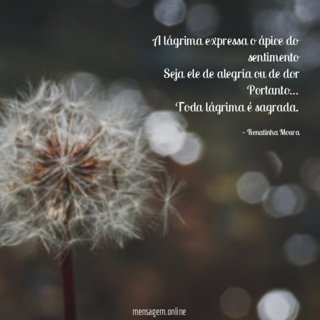 A lágrima expressa o ápice do sentimento Seja ele