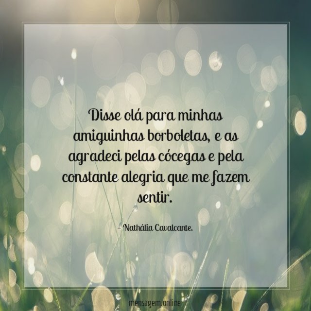 Disse olá para minhas amiguinhas borboletas