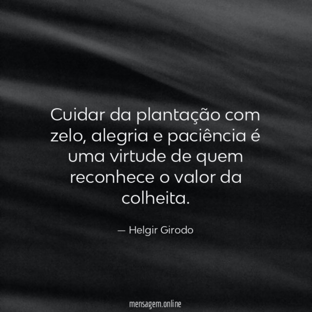 Cuidar da plantação com zelo