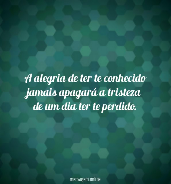 A alegria de ter te conhecido jamais apagará