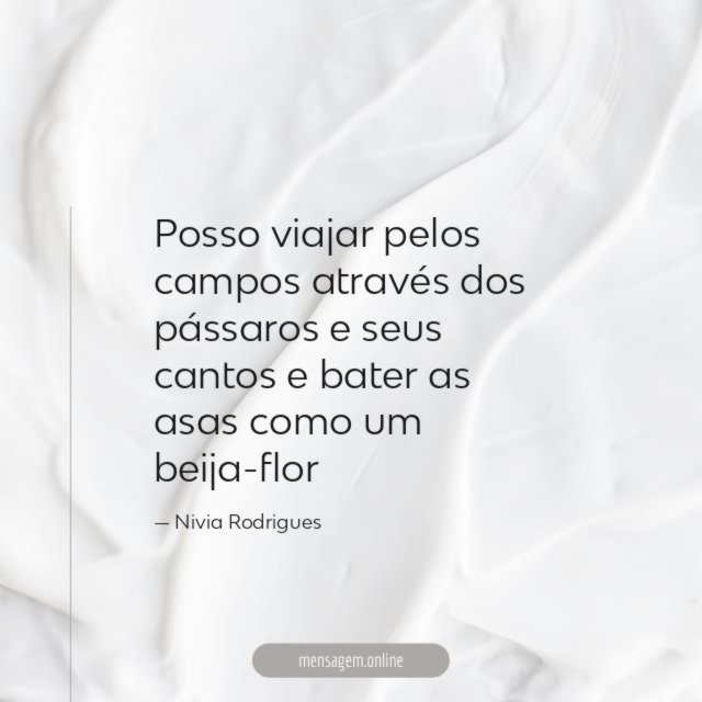 Posso viajar pelos campos através dos pássaros e seus
