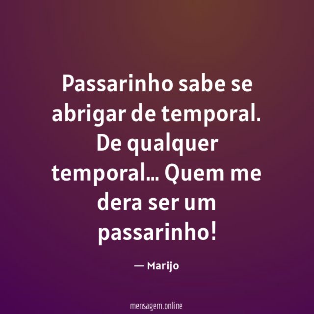 Passarinho sabe se abrigar de temporal