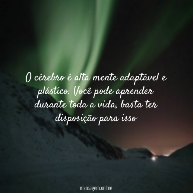 O cérebro é alta mente adaptável e plástico