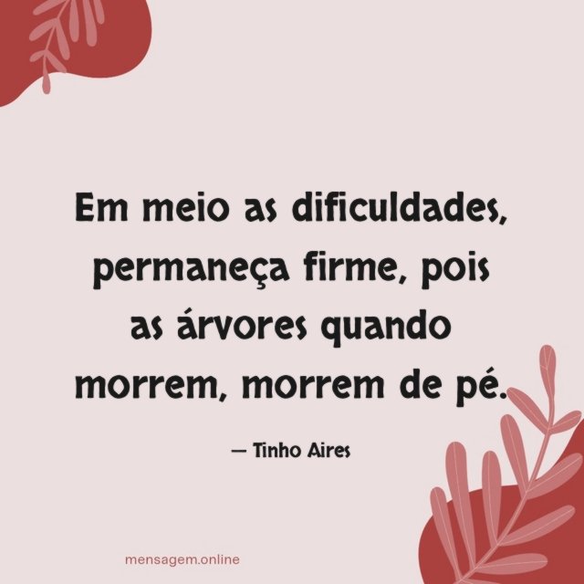 Em meio as dificuldades