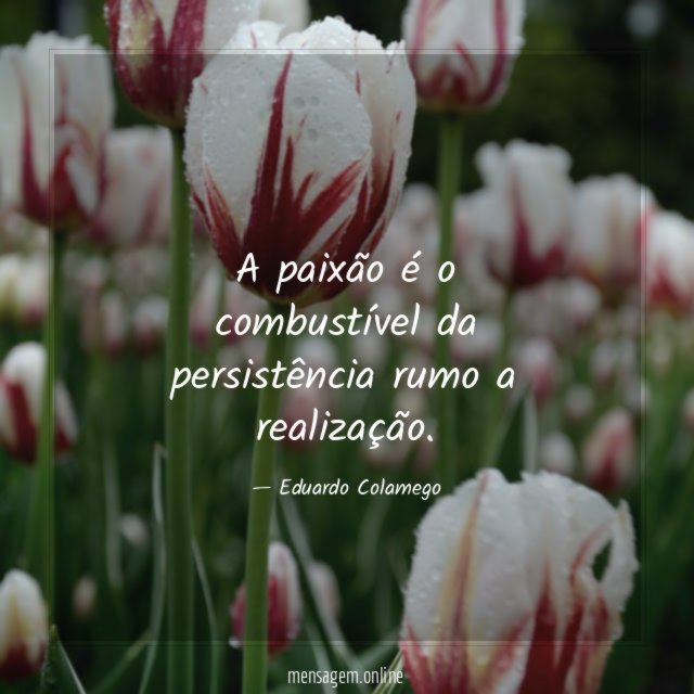 A paixão é o combustível da persistência rumo