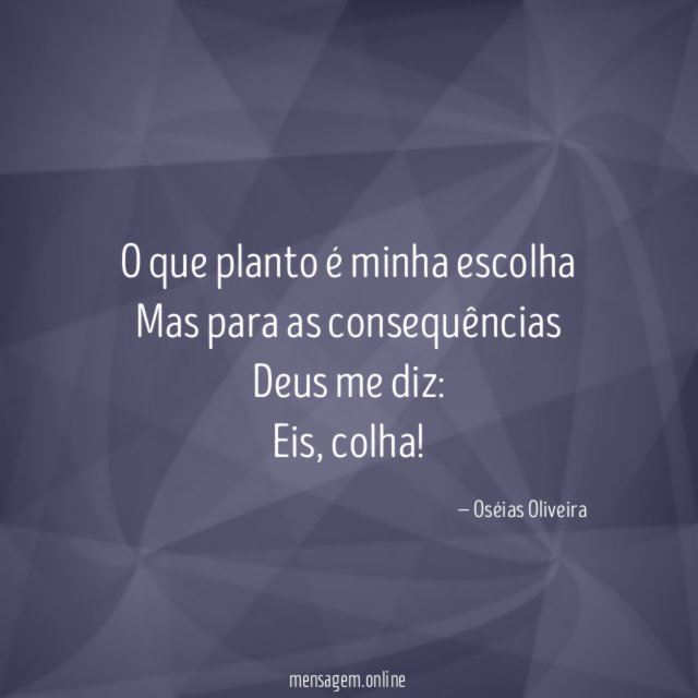 O que planto é minha escolha Mas para as