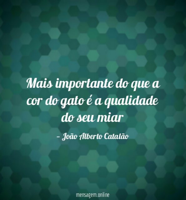 Mais importante do que a cor do gato