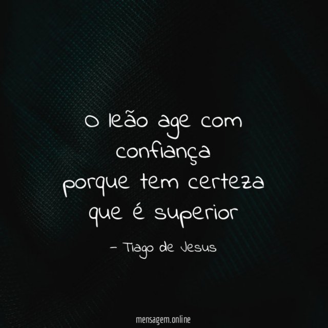 O leão age com confiança porque tem certeza que é superior
