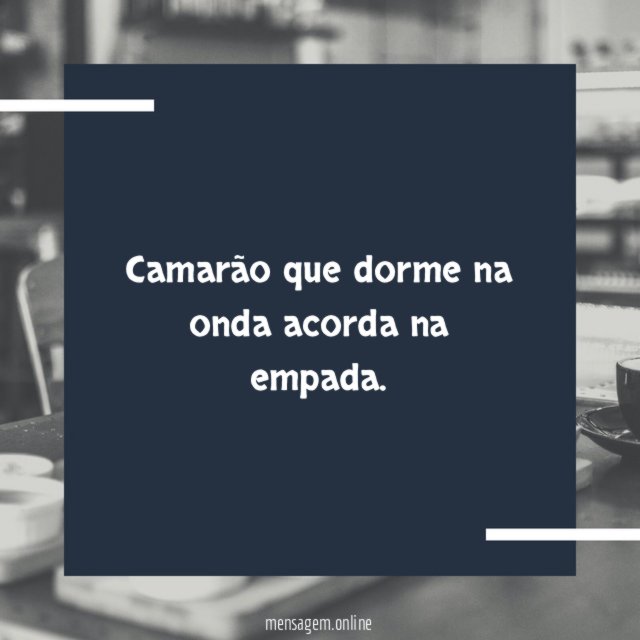 Camarão que dorme na onda acorda na empada