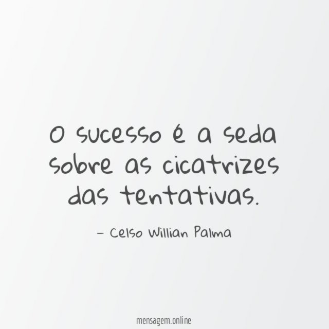O sucesso é a seda sobre as cicatrizes das tentativas