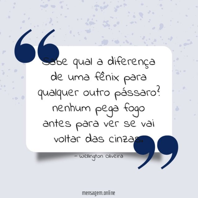 Sabe qual a diferença de uma fênix para