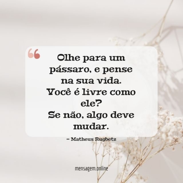 Olhe para um pássaro
