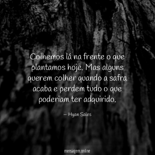Colhemos lá na frente o que plantamos hoje