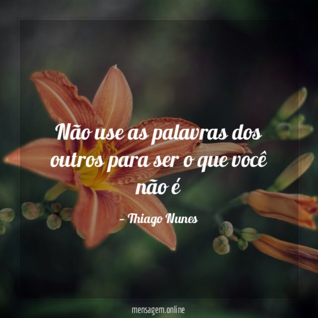 Não use as palavras dos outros para ser