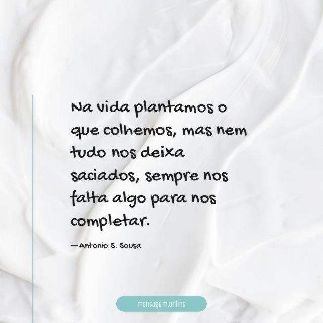 Na vida plantamos o que colhemos
