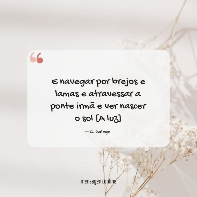 E navegar por brejos e lamas
e atravessar a ponte irmã
e ver nascer o sol