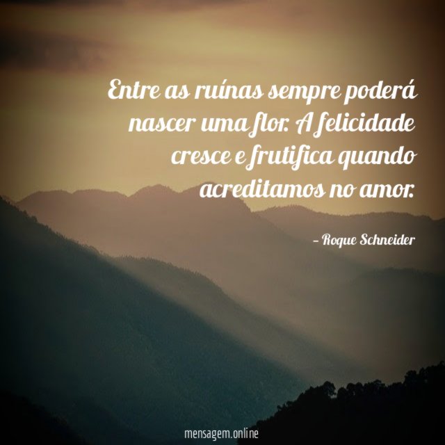 Entre as ruínas sempre poderá nascer uma flor