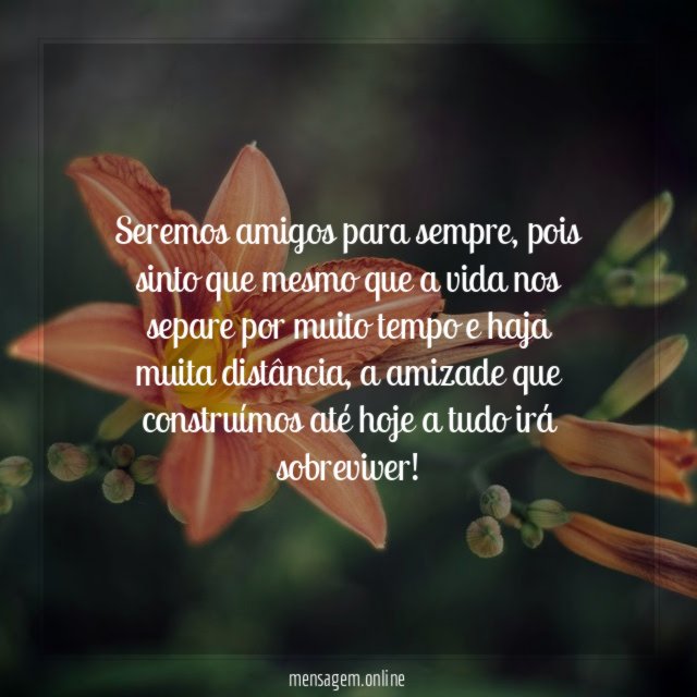 Seremos amigos para sempre